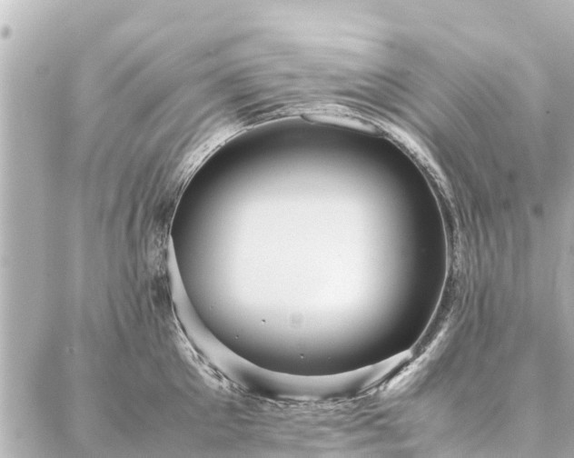 X0000087060905200704251026