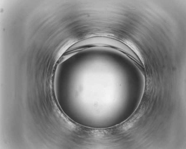 X0000087060906200704251026