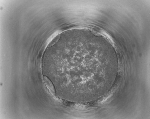 X0000087060907200704251026