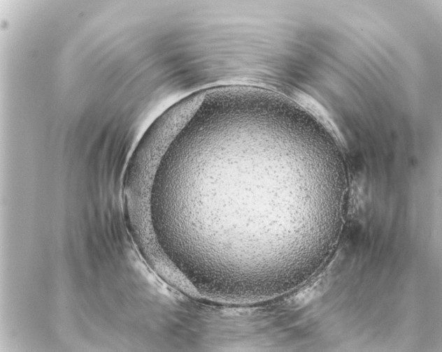 X0000087060908200704251026