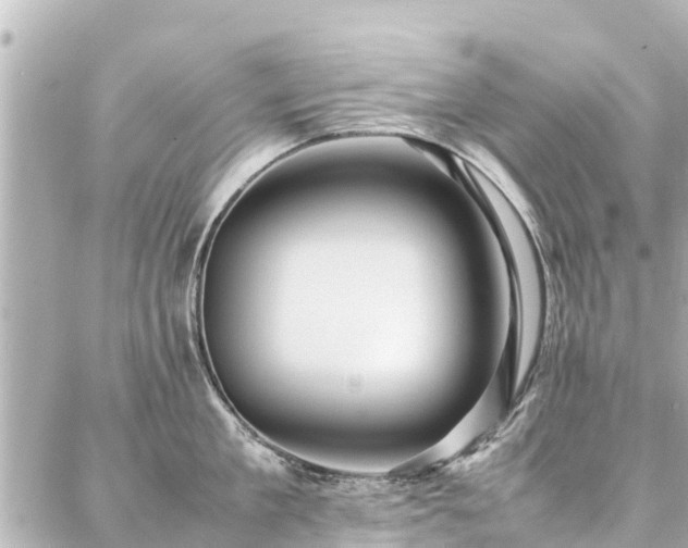 X0000087060909200704251026