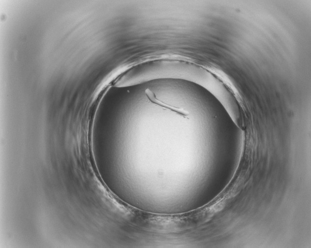 X0000087060910200704251026