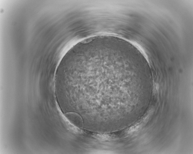 X0000087060911200704251026