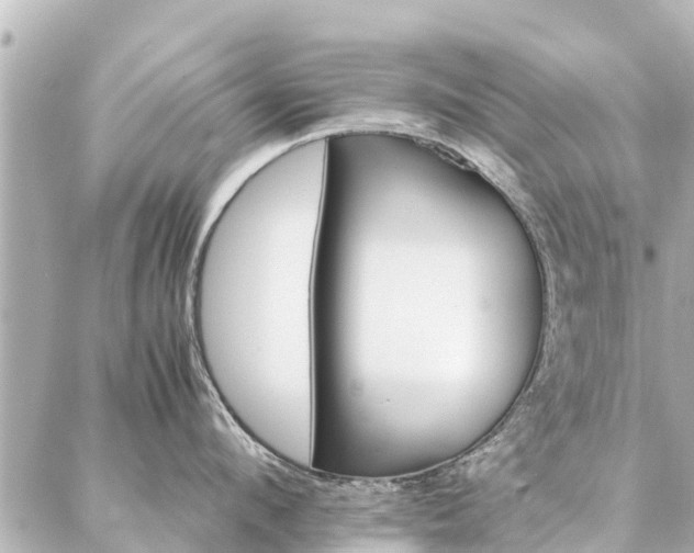 X0000087060912200704251026