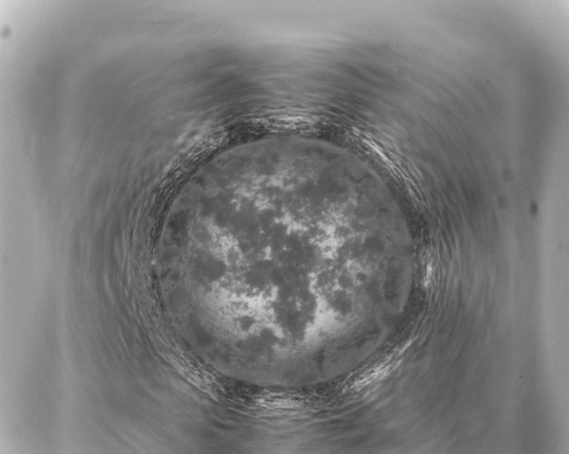 X0000087060913200704251025