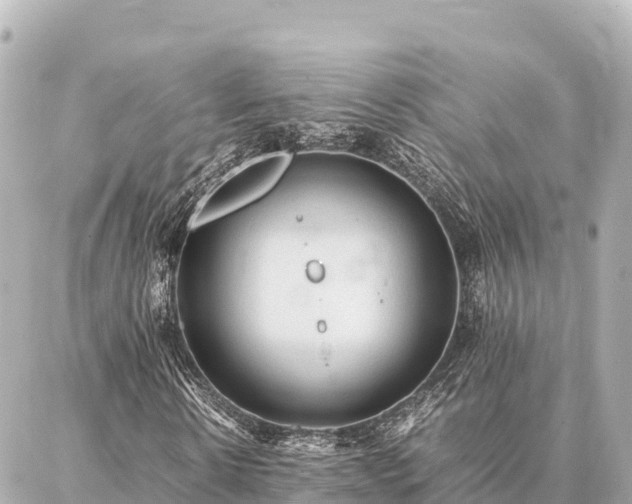 X0000087060914200704251025