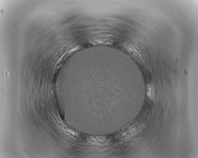 X0000087060915200704251025