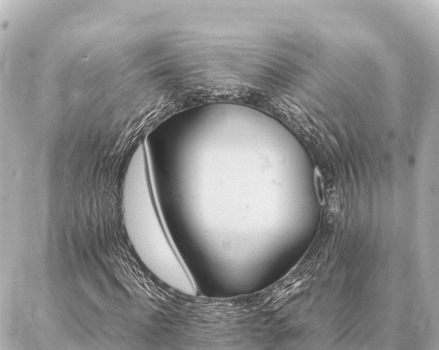 X0000087060916200704251025