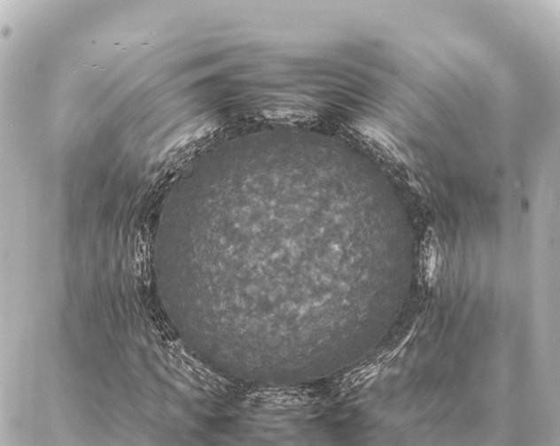 X0000087060917200704251025