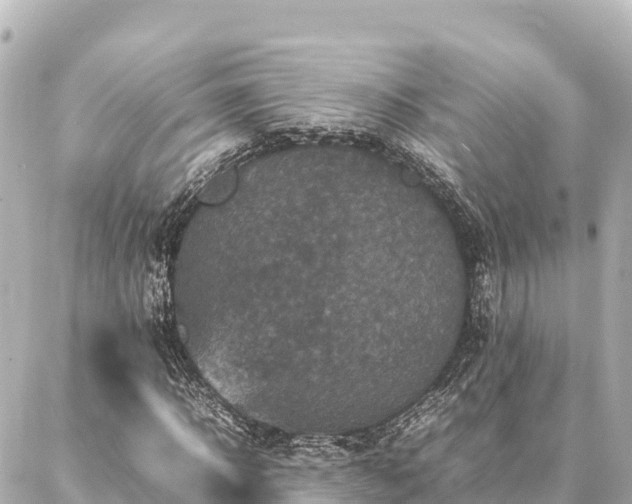 X0000087060918200704251025