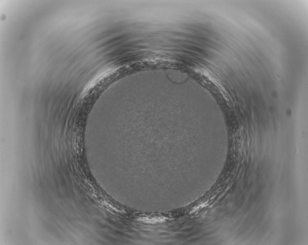 X0000087060919200704251025