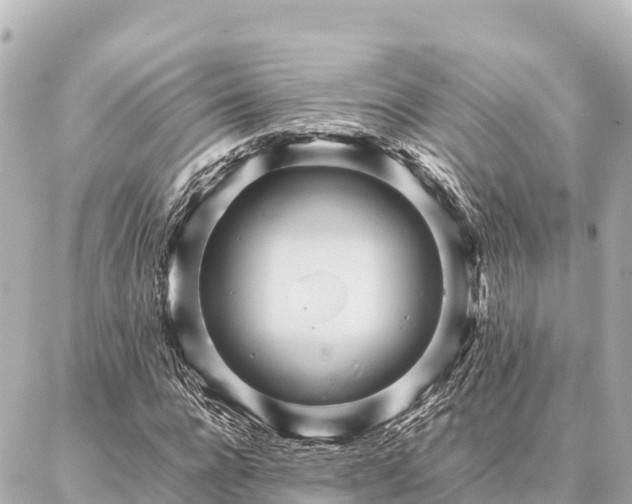 X0000087060920200704251025