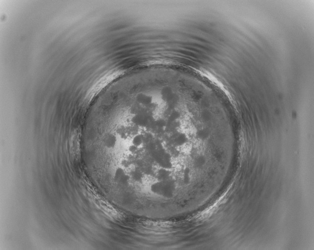 X0000087060921200704251025