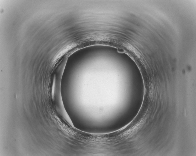 X0000087060922200704251025