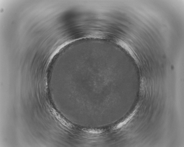 X0000087060923200704251025