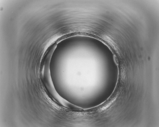 X0000087060924200704251025