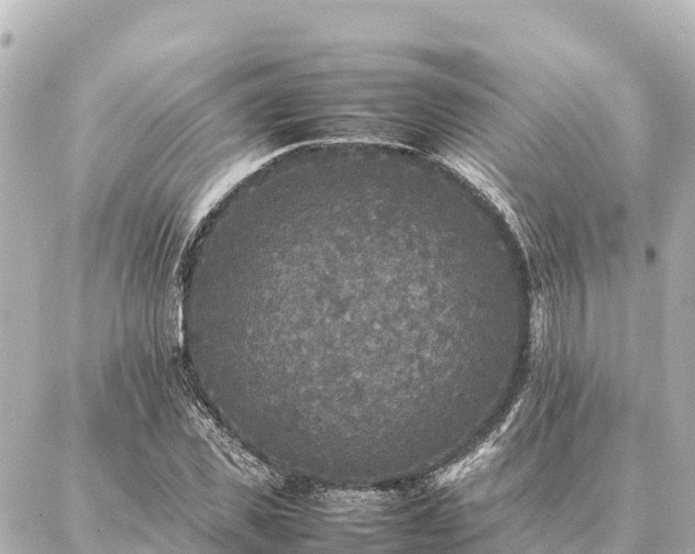 X0000087060925200704251025