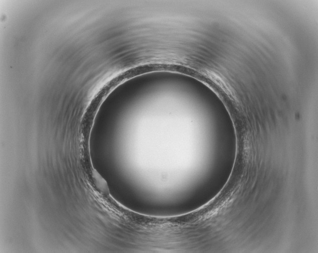 X0000087060926200704251025