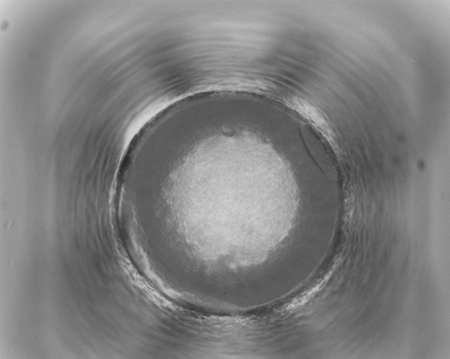 X0000087060928200704251025