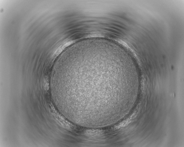 X0000087060929200704251025