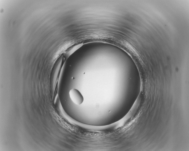 X0000087060930200704251025