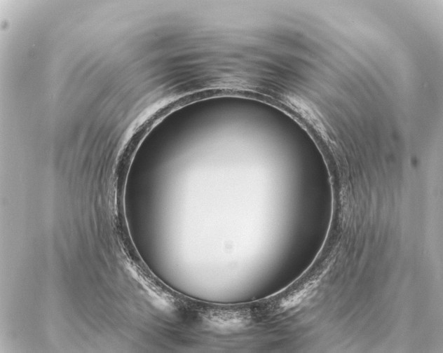 X0000087060931200704251025