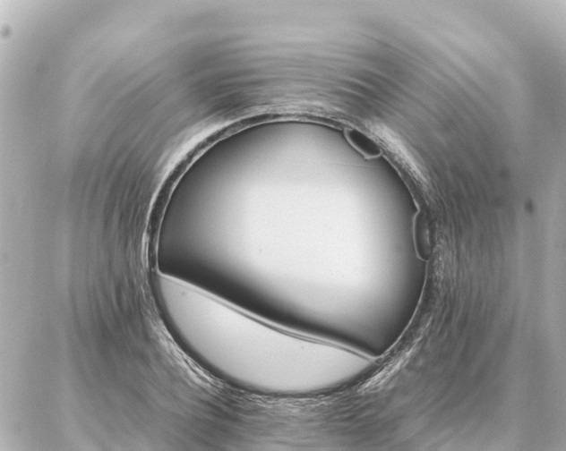 X0000087060932200704251025