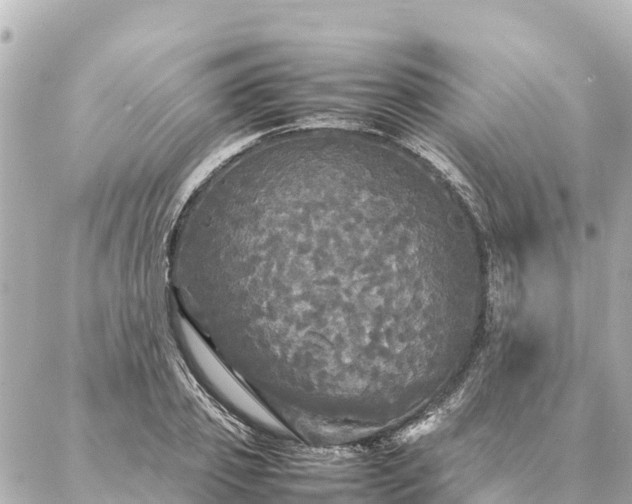 X0000087060933200704251025