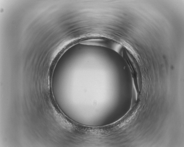 X0000087060934200704251025