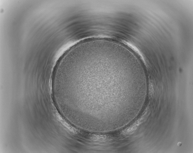 X0000087060935200704251025