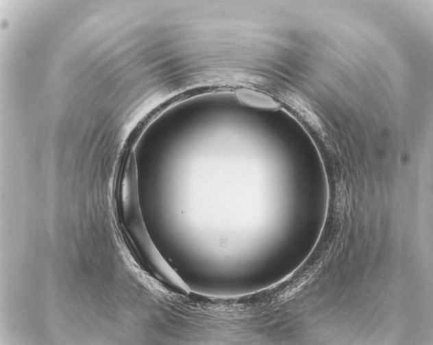 X0000087060936200704251025