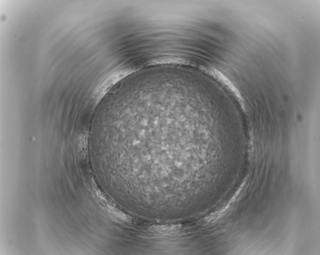 X0000087060937200704251025