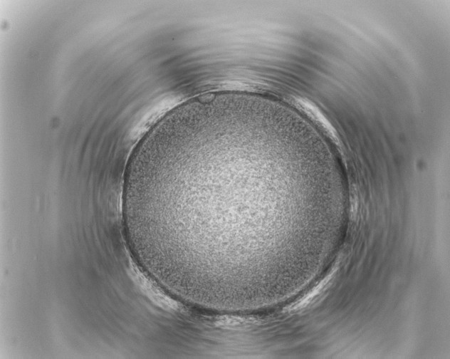 X0000087060938200704251025