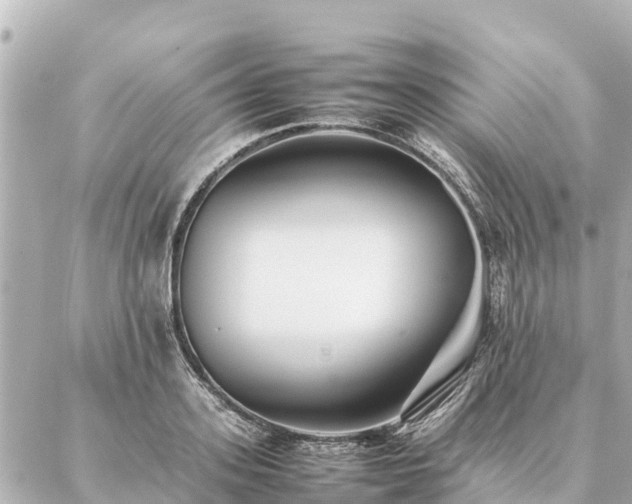 X0000087060939200704251025