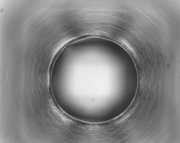 X0000087060940200704251025