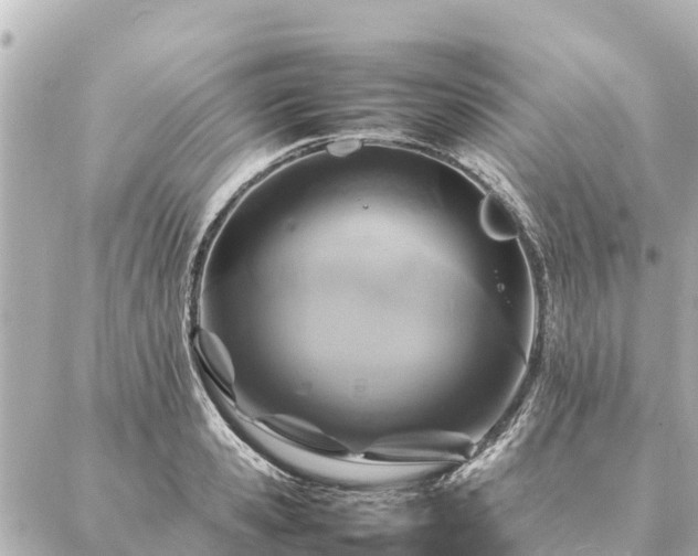 X0000087060941200704251026