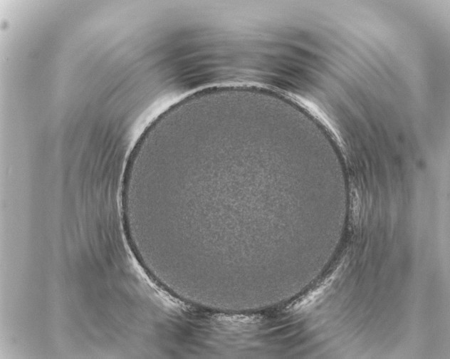 X0000087060943200704251026