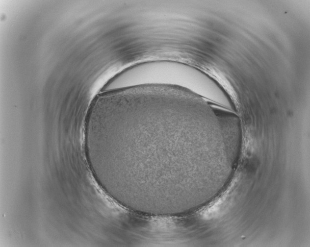 X0000087060944200704251026