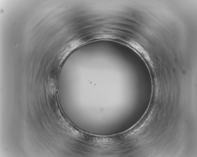 X0000087060945200704251026