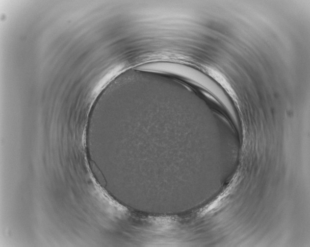 X0000087060946200704251026