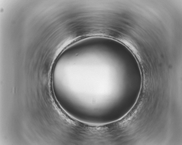 X0000087060949200704251026