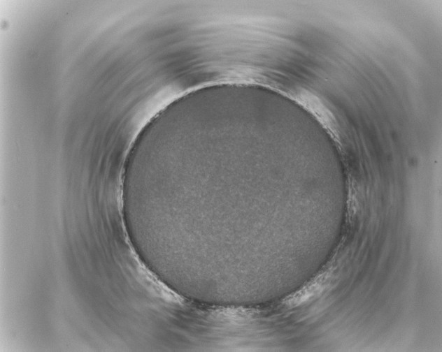 X0000087060950200704251026