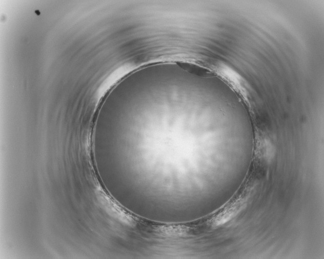 X0000087060952200704251026