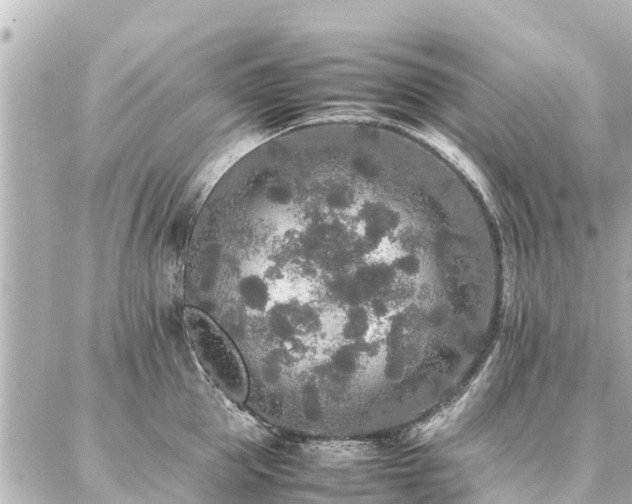 X0000087060953200704251026