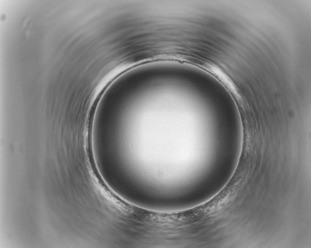 X0000087060955200704251026