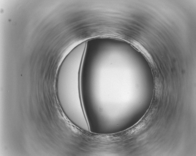 X0000087060956200704251026