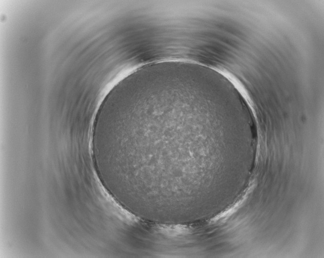 X0000087060957200704251026