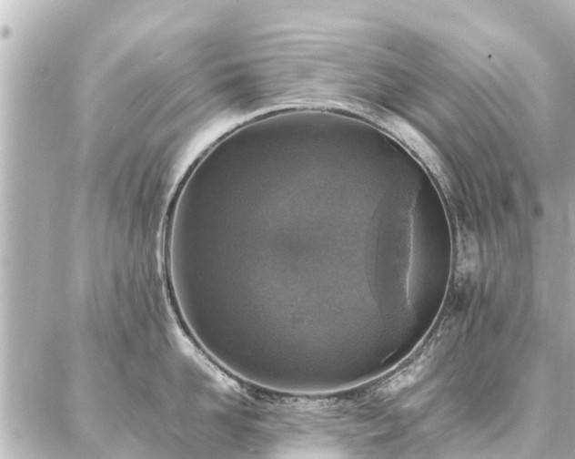 X0000087060958200704251026