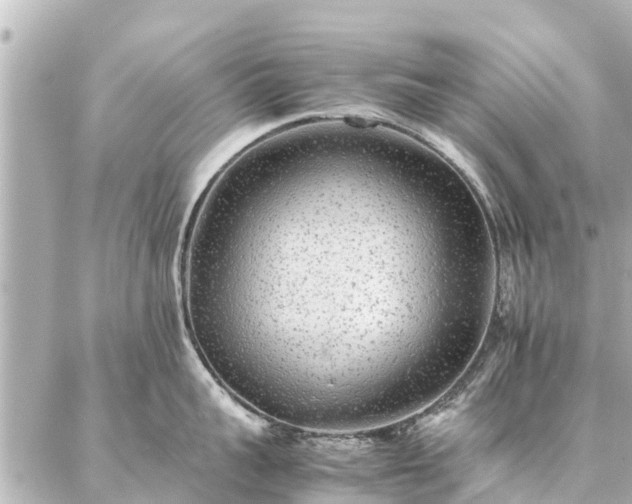 X0000087060959200704251026