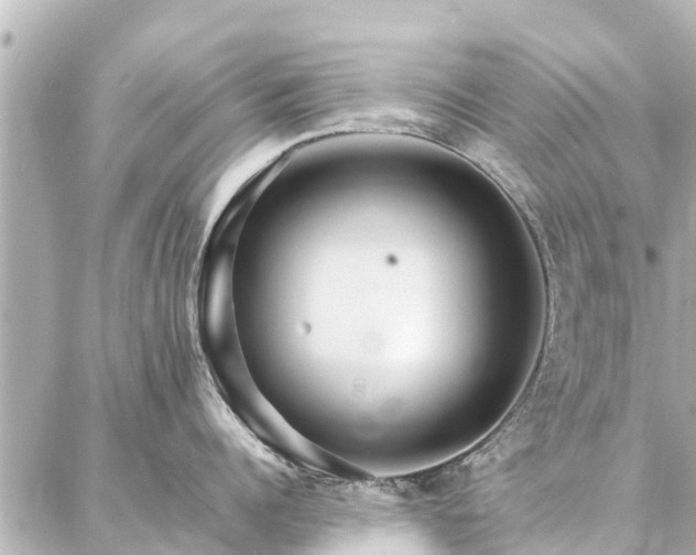 X0000087060960200704251026